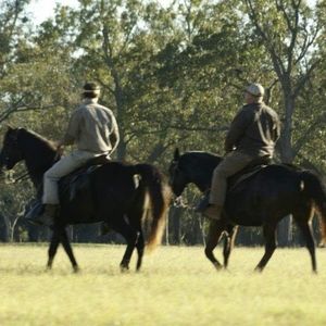 Meet your Posher, Edward